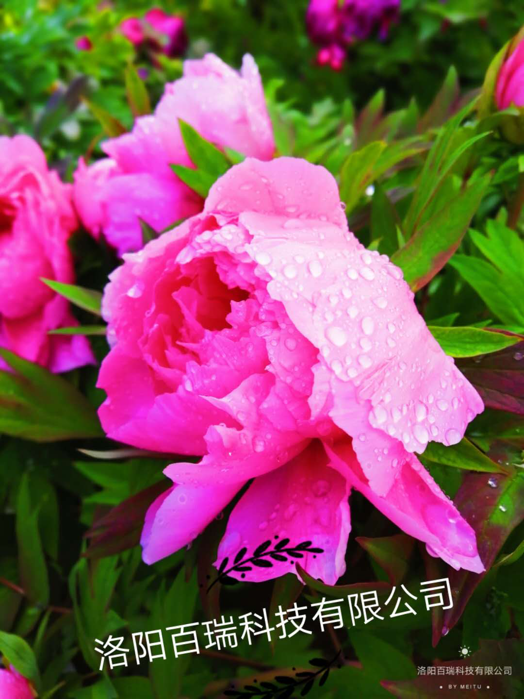 1587021055463890.png 圖片1.png